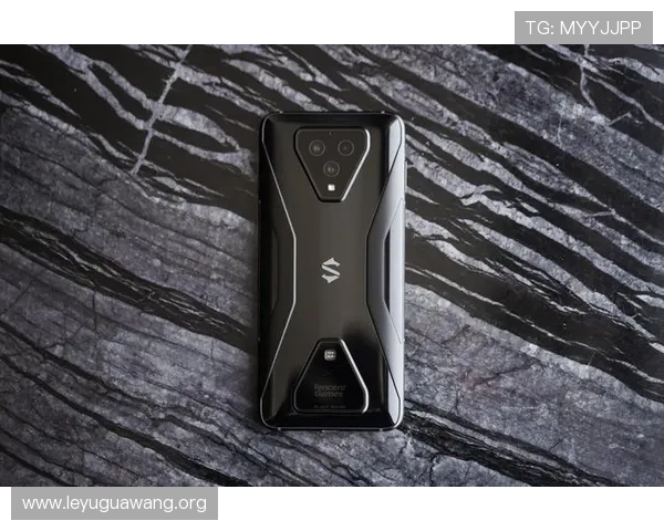 乐鱼官网手机版支持多平台登录，全面优化游戏体验满足不同玩家需求