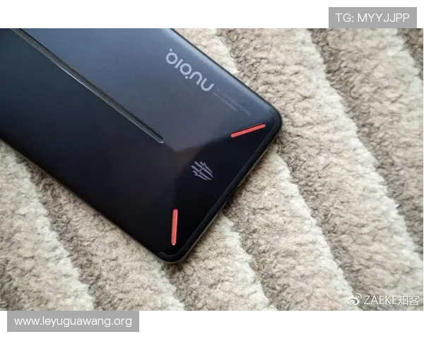 乐鱼平台合作伙伴大巴黎01助力玩家畅享高品质电竞体验与丰富游戏资源