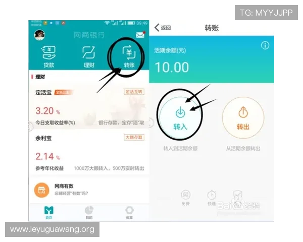 乐鱼全站取不出钱问题的解决方案，帮助用户顺利完成提现流程